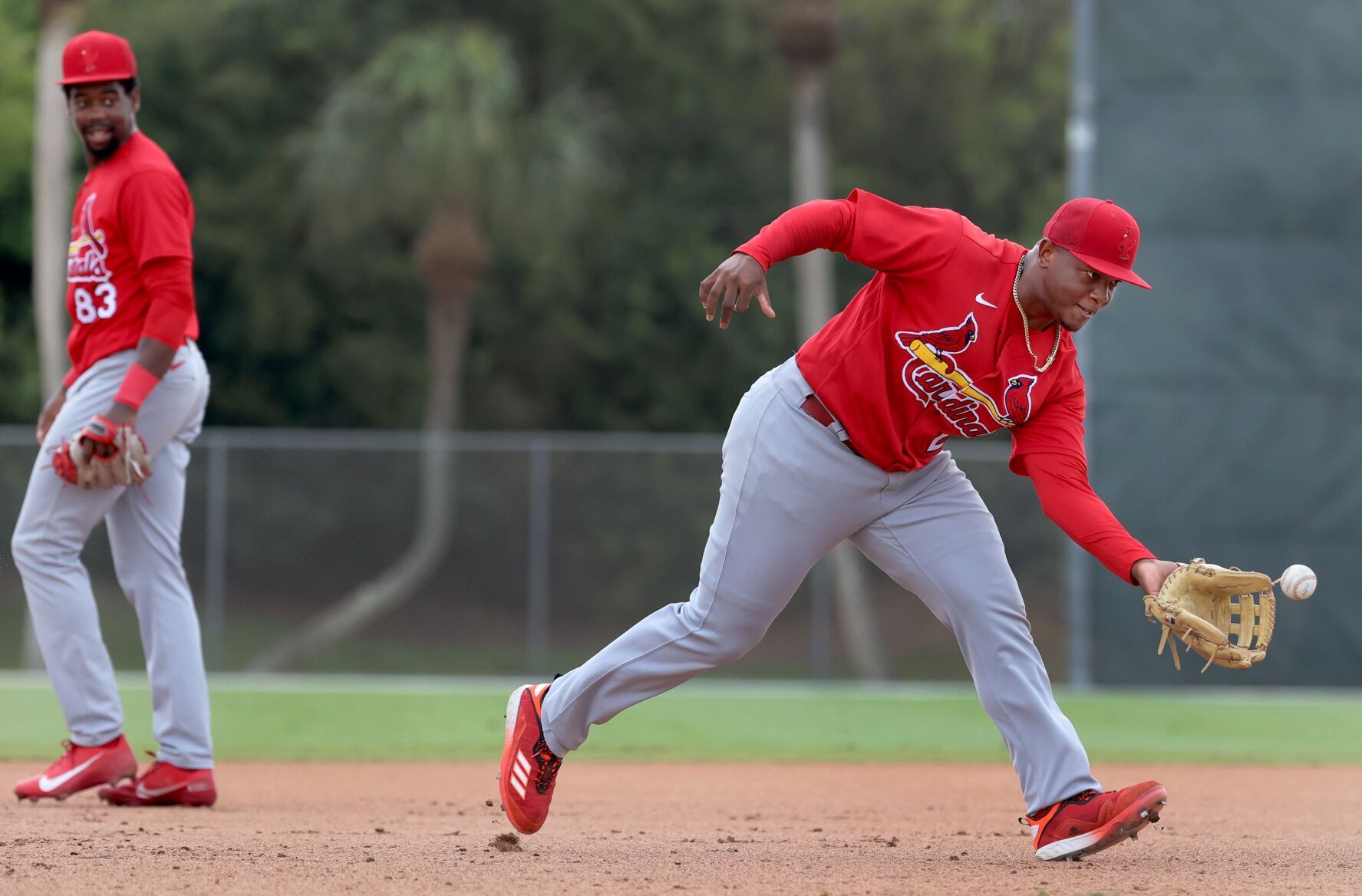 Cardinals minor-league spring training day four in Jupiter